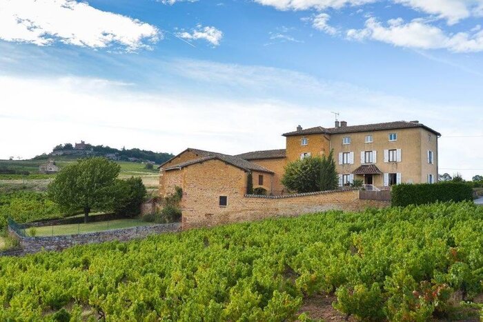 Private Wine Tour in the Hilltops of Nice