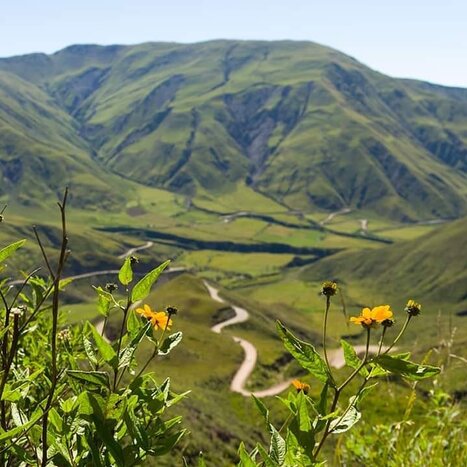 Calchaquies Valleys (3-day / 2-night Program) From Salta to Cachi through Cuesta del Obispo