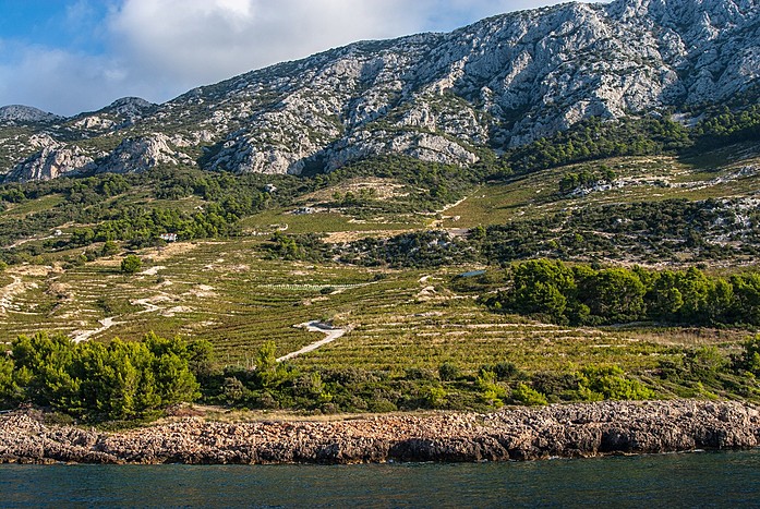 Wine Tasting at Local Winery on Pelješac Peninsula 