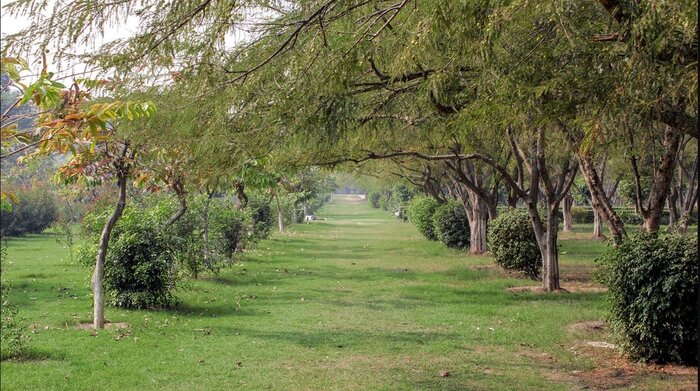 Visit to Mehtab Bagh at Sunset