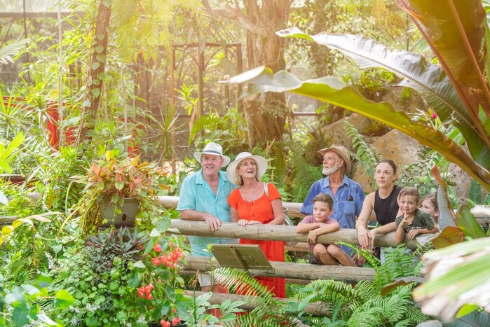 Private Kuranda Railway, Skyrail & Palm Cove Adventure