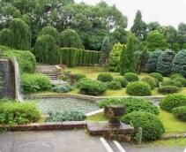 Half day Bonsai and Garden tour in Kyoto