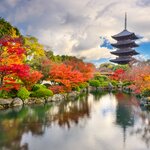Visit Kyoto's Toji Temple, the tallest pagoda in the country