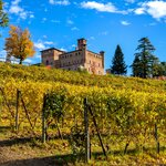 Drink wine and sample truffles in the Piedmont region when towns like Alba come alive with harvest festivals