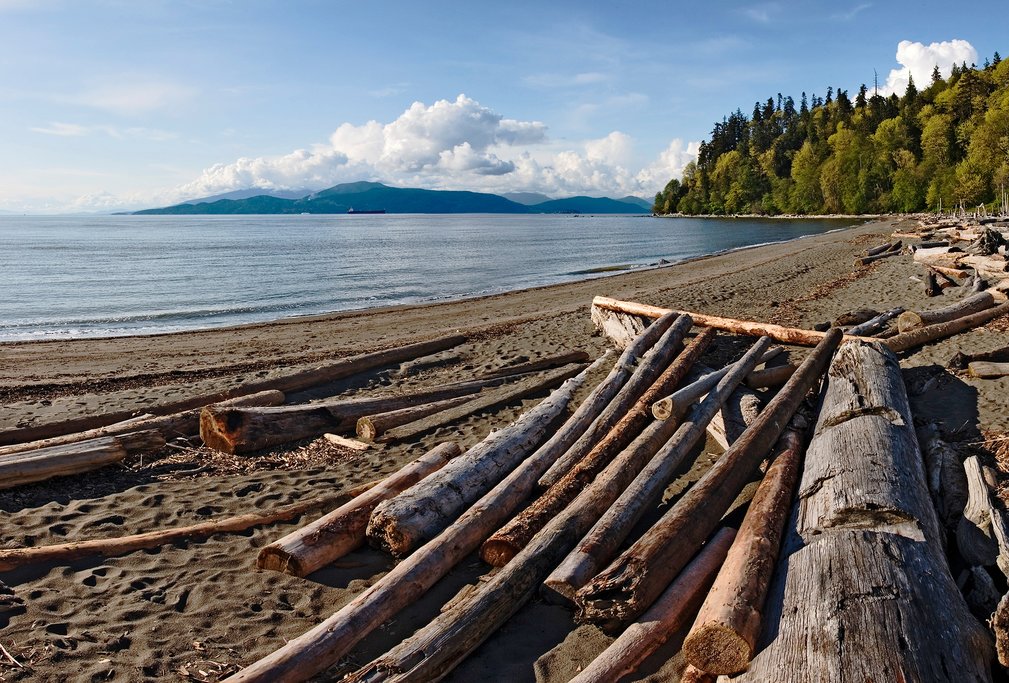 A driftwood-strewn beach of Point Grey