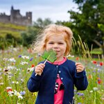 Have fun with the tribe as you explore the "fairy trails" in County Offaly