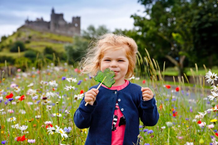 Have fun with the tribe as you explore the "fairy trails" in County Offaly