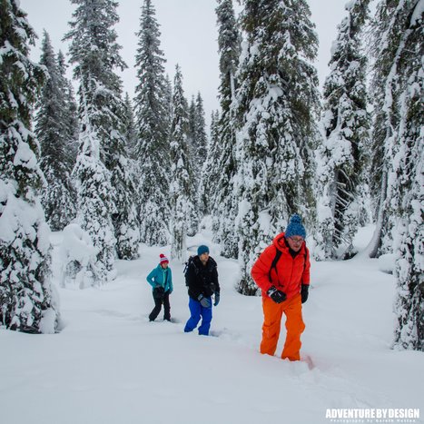 Family Day in the Tundra: Trekking and Tobogganing in Saariselkä