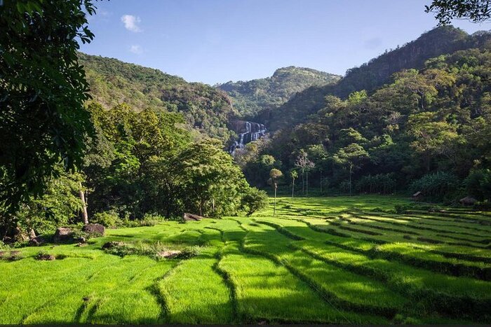 Rathna Ella Combined Village Experience