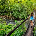 Hike the Lavena Coastal Walk, Taveuni