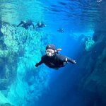 Brace yourself for the chill, and be warmed by the exceptional experience (photo courtesy of Dive.Is)