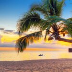 Khao Lak Beach with a palm tree sunset