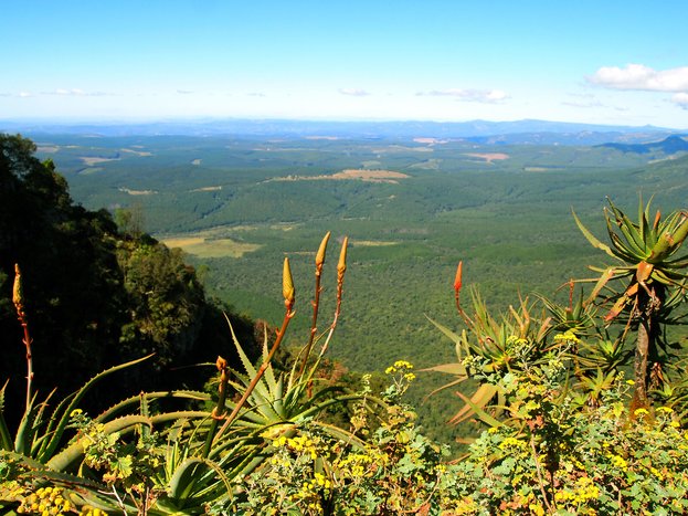 Hazyview landscape in Mpumalanga, South Africa