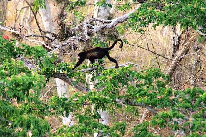 Canoeing Indio Maiz Nature Reserve