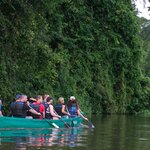 Explore the waterways of Tortuguero National Park