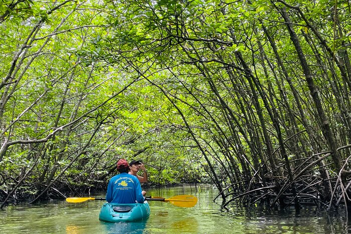 Kayak at Phang Nga Mangroves-Tha Din Daeng village (CBT)
