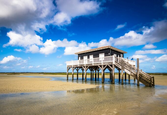 Private Arcachon Bay Day Trip