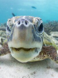 Marine Eco Tour with Coral Bay Eco Tours