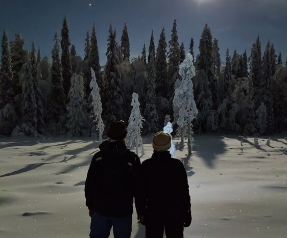 Aurora Snowshoeing Adventure 