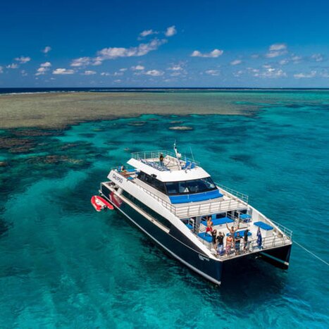 Snorkel & Dive the Great Barrier Reef