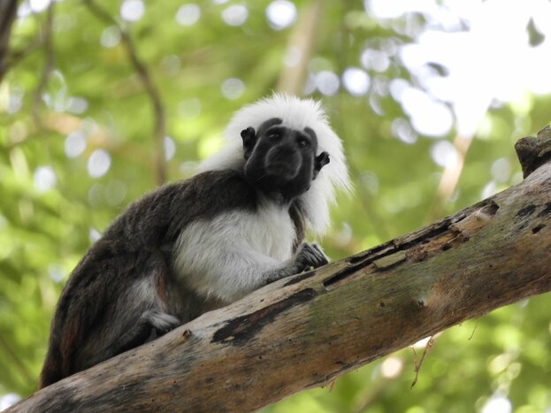Nature Walk and Wildlife Spotting Adventure in Matute