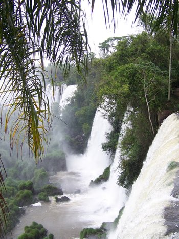 Explore Iguazú Falls (Brazilian Side) - Fly to Rio de Janeiro