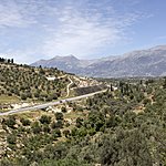 Olive Trees in the Cretan Hills