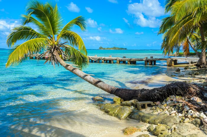 Relax in paradise on a Belizean island caye, like Carrie Bow Cay Field Station