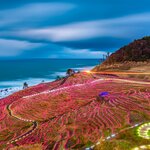Pedal past the Wajima rice terraces