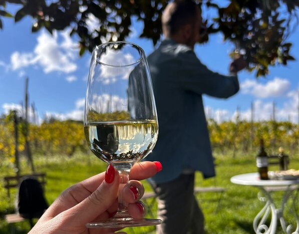 Frascati Wine Tasting and Lunch in the Castelli Romani area