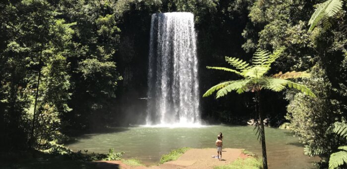 Atherton Tablelands & Paronella Park Exploration