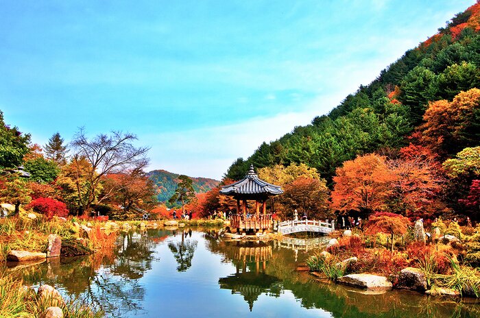 Explore Nature on the Way to Sokcho: Garden of Morning Calm, Nami Island, Gangchon Rail Park