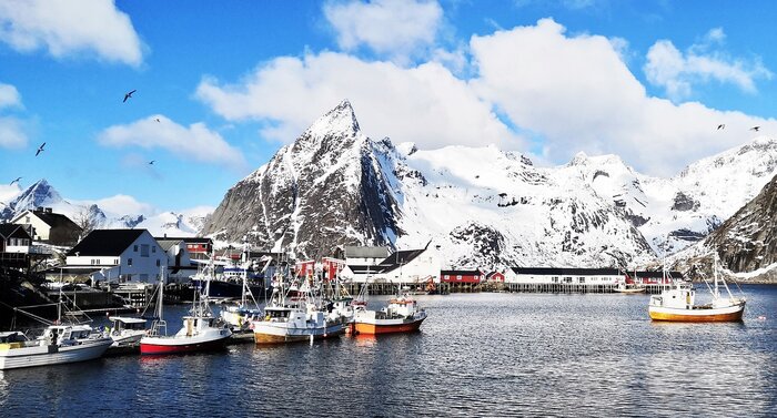 Winter Fjord Cruise in Tromso