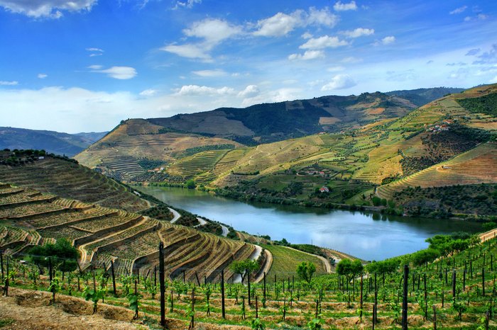 Private Douro River Escape: 1-Hour Exclusive Cruise