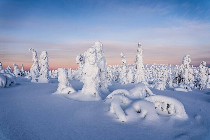 Riisitunturi National Park Expedition