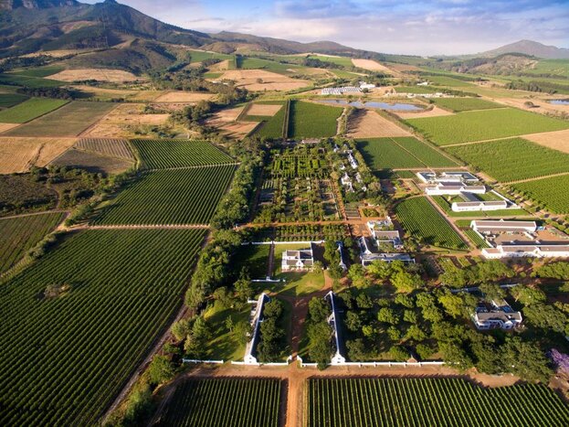 Activities at Babylonstoren