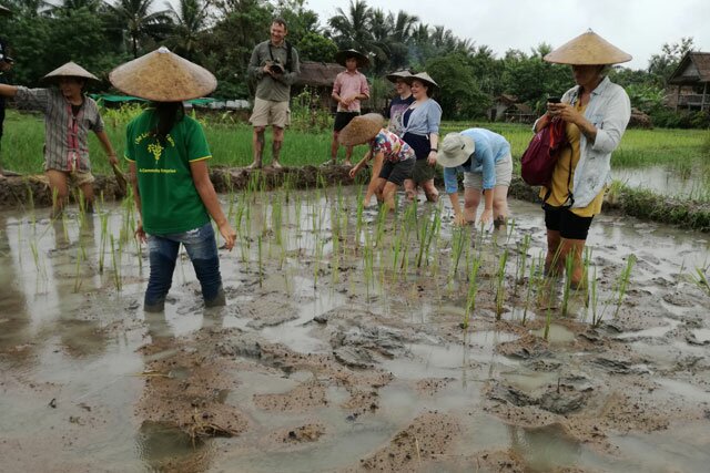 Living Lands Organic Farm