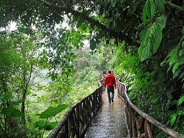 Privately Guided Tour at La Paz Waterfall Gardens
