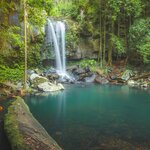 Private Daintree Rainforest Day Tour