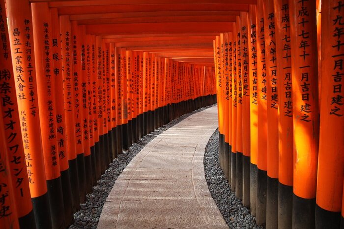 Kyoto’s Timeless Treasures: Kiyomizu-dera Temple, Kyoto Imperial Palace & Fushimi Inari Taisha