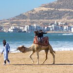 Kids riding camels in Agadir