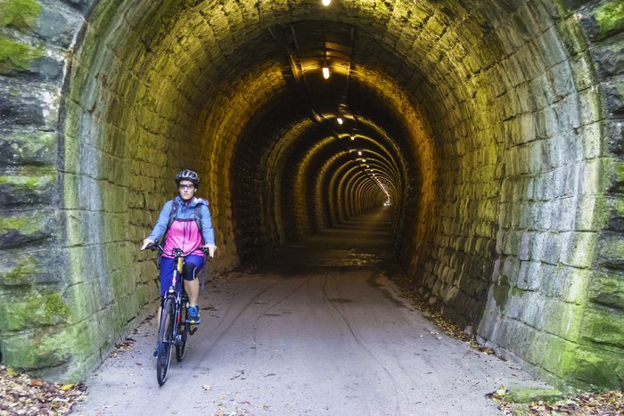 Full Day Biking Tour in Istra - Parenzana Trail 