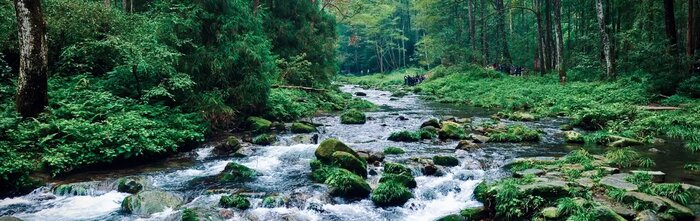 Full day  Tour with  Golden Whip Creek&Ten Mile Gallery &  Baofeng Lake