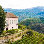 The quinta overlooks the Douro Valley (photo courtesy of Quinta Barqueiros D'Ouro)
