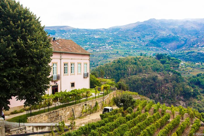 Private Douro & Vinho Verde Wine Tasting