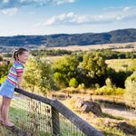 Explore Italy's Beautiful Countryside, Cities, and Food