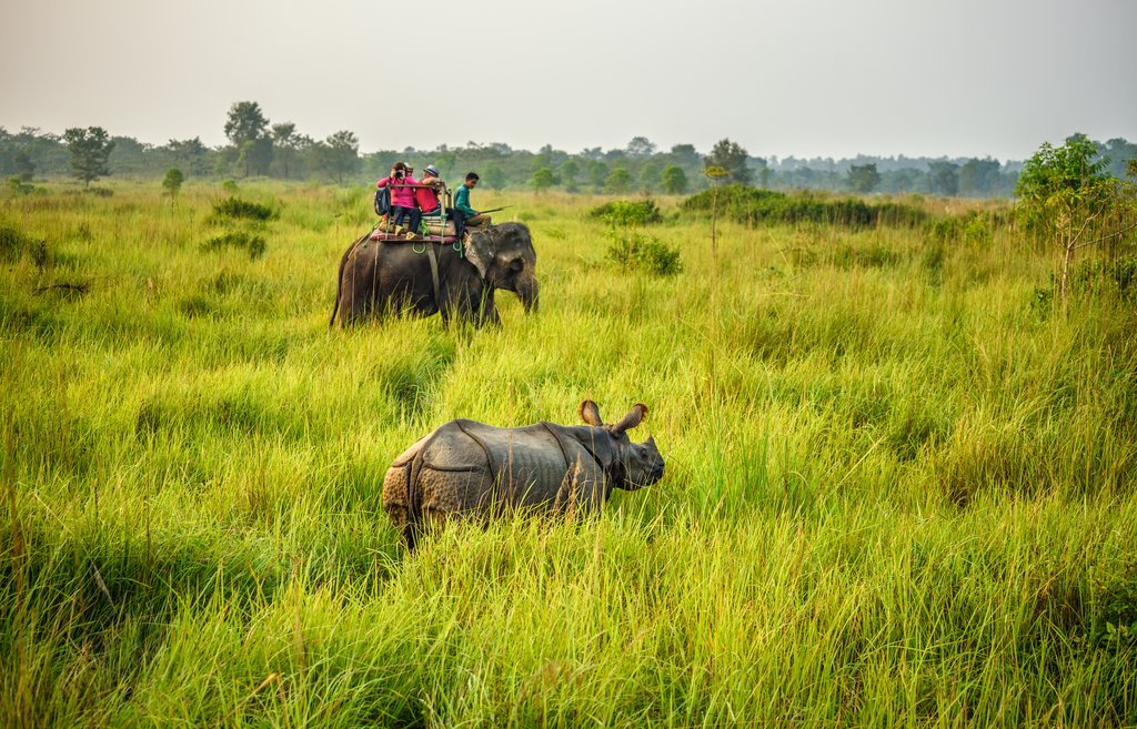 Elephant safari in Chitwan National Park