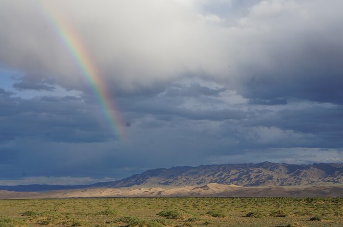 Stunning Khongor sand dunes (from Bayanzag) 