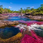 Kids will be amazed by the colors of Caño Cristales