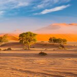 Namib dunes at dawn in the Namib-Naukluft National Park